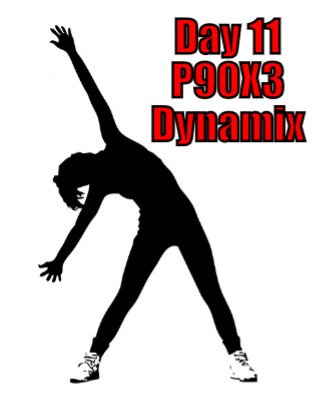 dynamix p90x3