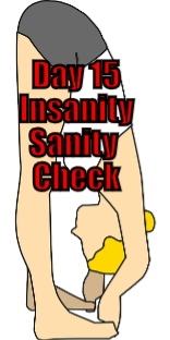 Day 15 - Insanity - Sanity Check