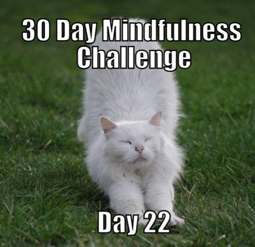 30 Day Mindfulness Challenge Day 22
