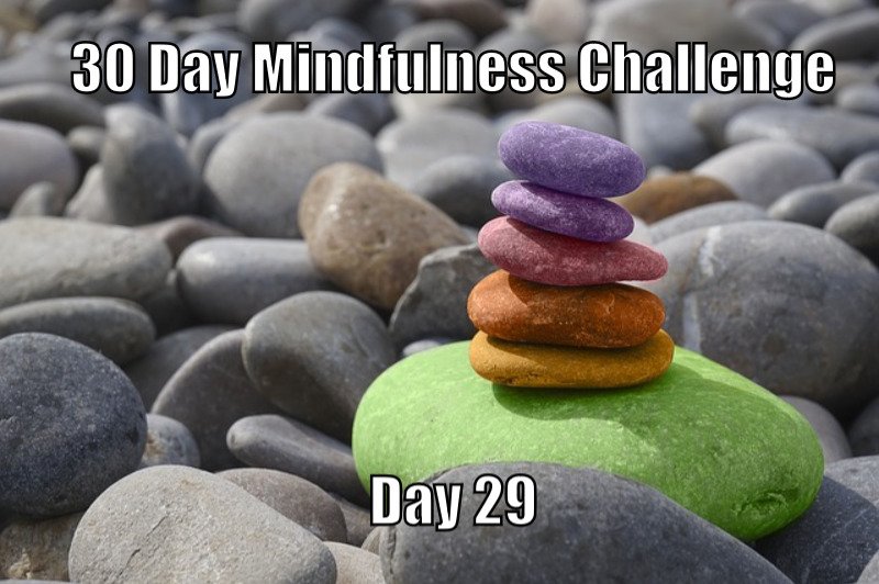 30 Day Mindfulness Challenge Day 29