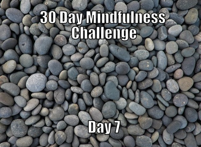 30 Day Mindfulness Challenge Day 7